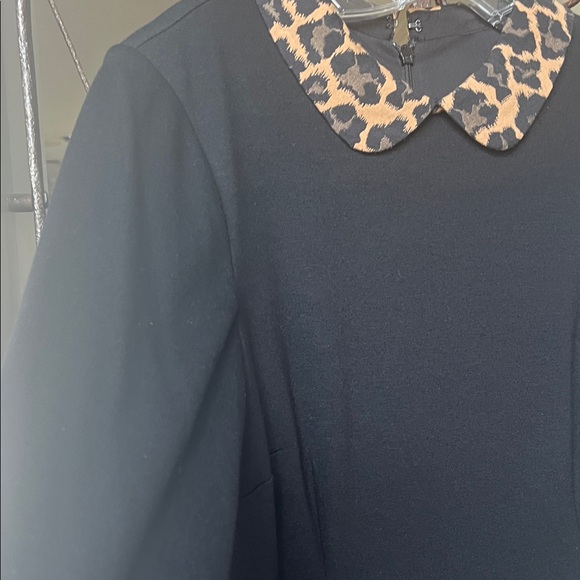 Talbots Black Dress with Leopard Accents - Picture 4 of 7